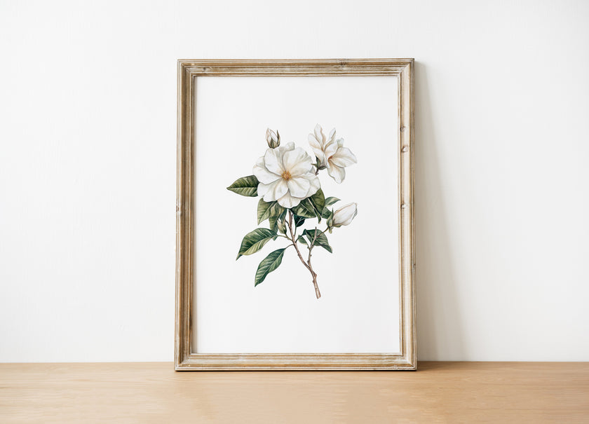 Delicate white magnolia branch with lush green leaves on crisp white background, creating a serene botanical illustration with vintage elegance perfect for traditional or rustic spaces.