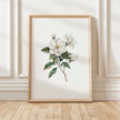 Delicate white magnolia branch with lush green leaves on crisp white background, creating a serene botanical illustration with vintage elegance perfect for traditional or rustic spaces.