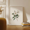 Delicate white magnolia branch with lush green leaves on crisp white background, creating a serene botanical illustration with vintage elegance perfect for traditional or rustic spaces.