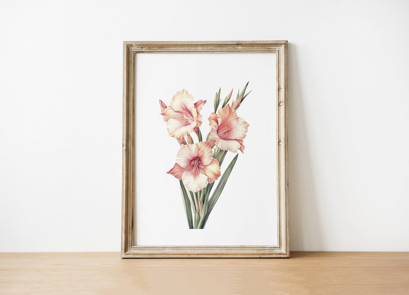 Delicate gladiolus flowers in soft peach and sage green tones against a crisp white background, framed by rustic wood elements, creating a serene minimalist botanical illustration perfect for tranquil spaces.