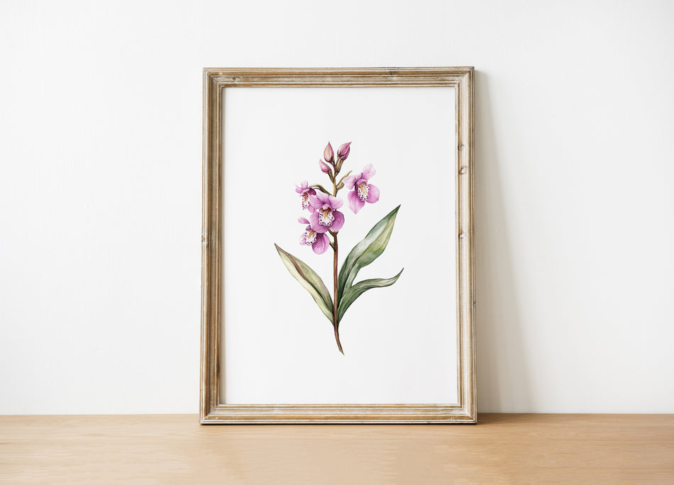 Delicate lavender and sage green orchids rendered in watercolor against a white background, framed in rustic wood, creating a tranquil botanical statement piece for serene spaces.