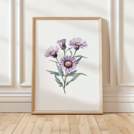 Delicate purple aster flowers with intricate petals in soft lilac and sage green tones against a clean white background, creating a serene minimalist botanical composition.