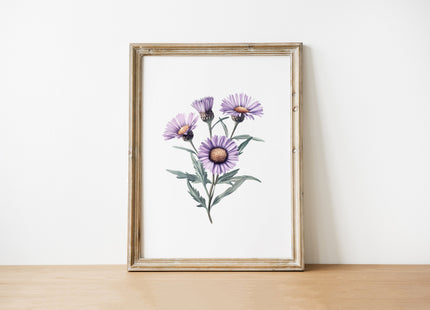 Delicate purple aster flowers with intricate petals in soft lilac and sage green tones against a clean white background, creating a serene minimalist botanical composition.