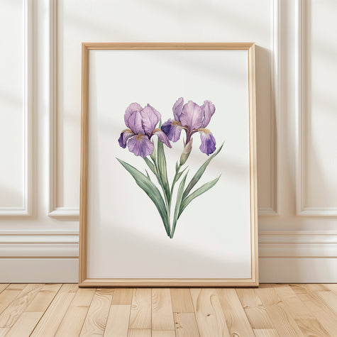 Purple Iris Watercolor Botanical Print – Minimalist Floral Wall Art for Living Room Digital Download