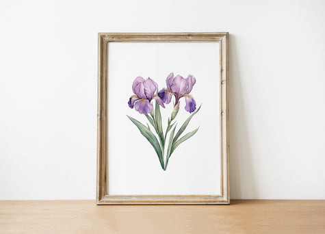 Purple Iris Watercolor Botanical Print – Minimalist Floral Wall Art for Living Room Digital Download