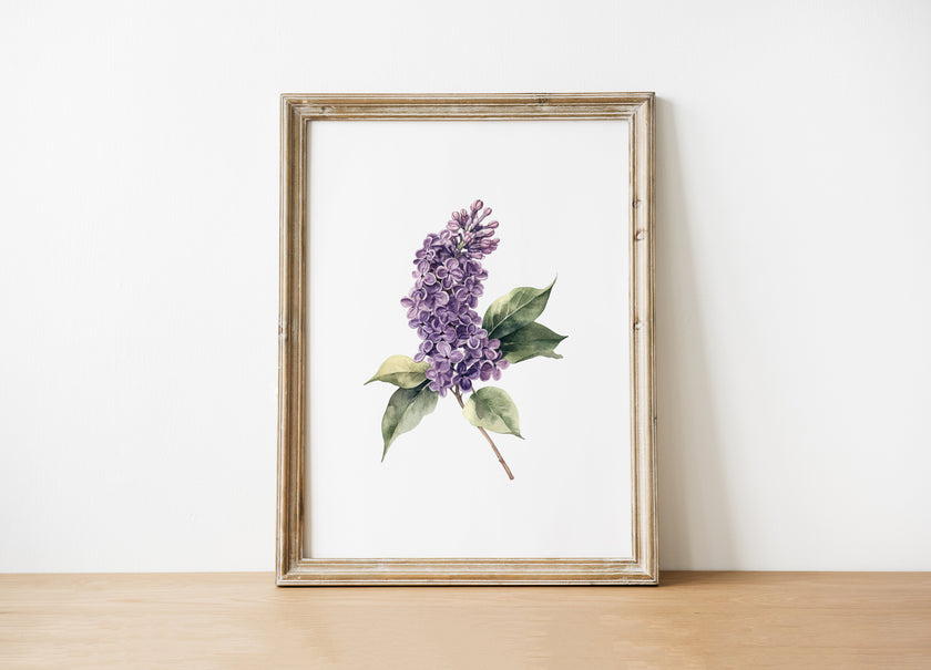 Delicate watercolor lilac flower in lavender and sage green tones against white background, with intricate botanical detailing and balanced composition creating a serene, peaceful atmosphere.