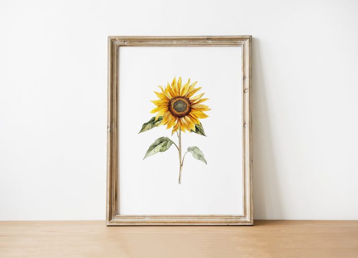 Watercolor sunflower in vibrant golden-yellow with delicate green leaves against a clean white background, displayed in a rustic wooden frame creating a minimalist, calming aesthetic.