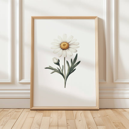 Delicate ivory daisy with muted green leaves on crisp white background, creating a minimalist botanical composition with calming, serene atmosphere perfect for Scandinavian or farmhouse interiors.