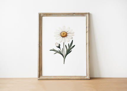 Delicate ivory daisy with muted green leaves on crisp white background, creating a minimalist botanical composition with calming, serene atmosphere perfect for Scandinavian or farmhouse interiors.