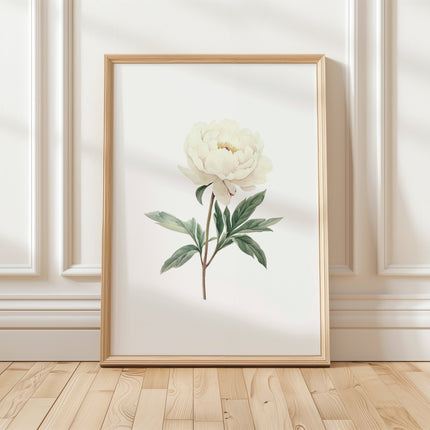 Delicate ivory and sage green peony illustration with detailed petals against clean white background, creating a serene botanical focal point with minimalist Scandinavian aesthetic.