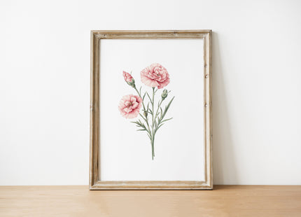 Delicate pink carnations with sage green stems on a white background, framed in rustic wood, creating a serene botanical illustration with Scandinavian and farmhouse charm.