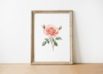 Delicate vintage pink rose with lush green leaves on white background, featuring detailed petals and harmonious composition, perfect for creating serene, elegant spaces with classic charm.