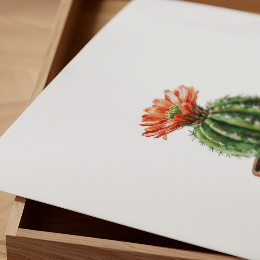 Hand-painted watercolor cactus with vibrant coral flower against white background, featuring earthy terracotta and sage green tones in a minimalist, calming composition perfect for bohemian spaces.