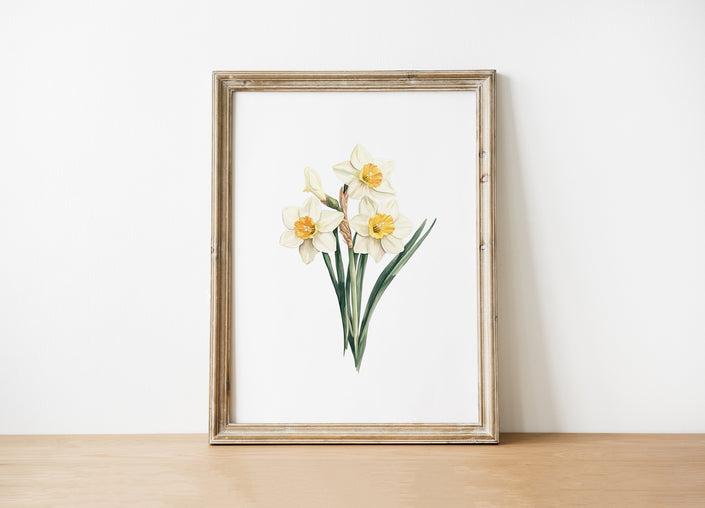 Delicate daffodils illustrated in soft buttery yellow and sage green watercolor against white background, framed in rustic wood, creating a serene cottagecore botanical focal point.