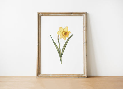 Vibrant yellow daffodil with lush green leaves against a clean white background, framed in rustic wood, creating a cheerful yet serene botanical composition for modern living spaces.