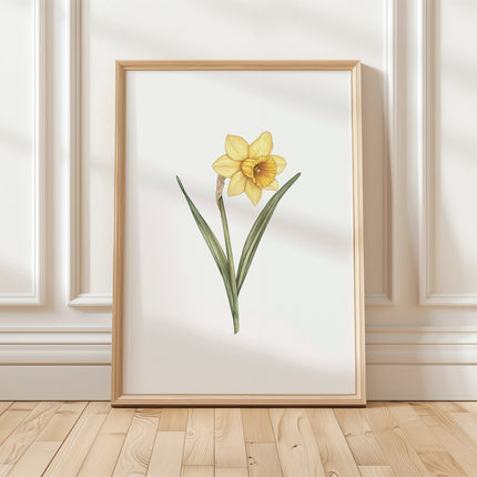 Vibrant yellow daffodil with lush green leaves against a clean white background, framed in rustic wood, creating a cheerful yet serene botanical composition for modern living spaces.
