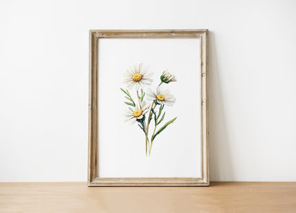 Delicate white daisies with yellow centers and green stems in soft watercolor style against clean white background, creating a serene minimalist botanical composition perfect for Scandinavian-inspired spaces.