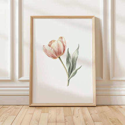 Delicate peach tulip with sage green stem on crisp white background, presented in a rustic wooden frame with clean lines creating a minimalist botanical watercolor art piece with Scandinavian aesthetic.