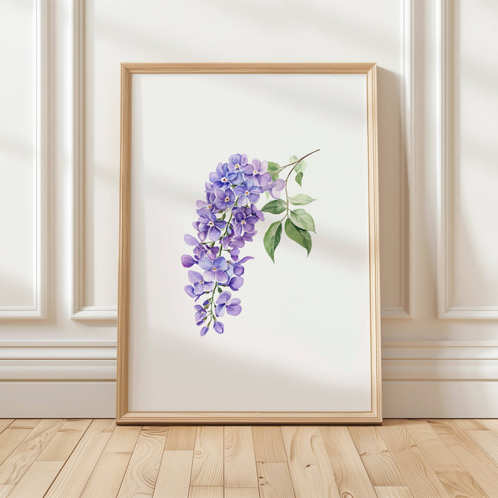 Delicate watercolor wisteria branch with cascading lavender blooms against white background, featuring intricate petal details and soft green leaves creating a peaceful, Scandinavian-inspired botanical composition.