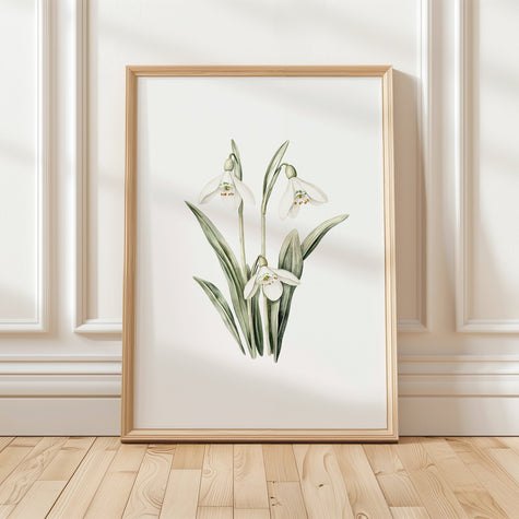 Delicate watercolor snowdrops in soft sage green and ivory against white background, featuring intricate floral details with Scandinavian minimalist appeal, creating a tranquil, elegant botanical statement.