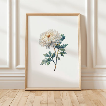 Delicate watercolor chrysanthemum in muted cream and sage green against crisp white background, showcasing intricate petal details in a minimalist, serene composition perfect for contemporary spaces.