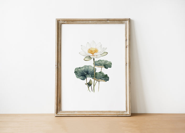 Delicate white lotus flower with sage green leaves painted in soft watercolor against a clean white background, creating a serene, minimalist botanical illustration perfect for peaceful spaces.