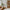 a374290a-1e93-4022-8fab-a7fa2a9b0634